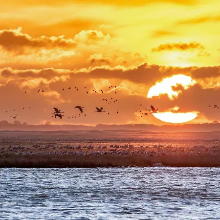 Strandglueck Am Malchower Mit Garten Malchow (Mecklenburg-Vorpommern)