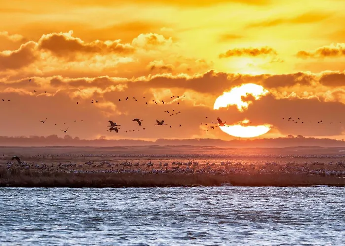 Strandglueck Am Malchower Mit Garten מאלצ'ו