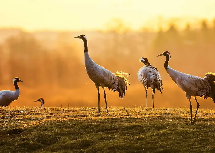 Strandglueck Am Malchower Mit Garten דירה *